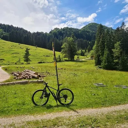 Vintage Am Chiemsee *