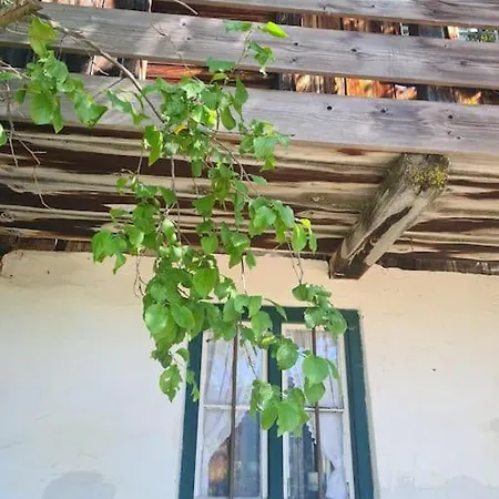 Vintage Am Chiemsee Apartment Ubersee