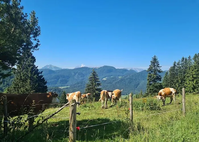 Vintage Am Chiemsee 아파트 *